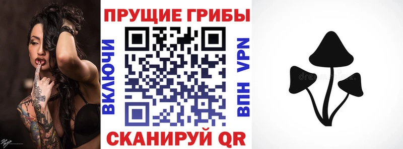 Псилоцибиновые грибы Cubensis  MEGA ссылка  Долинск 